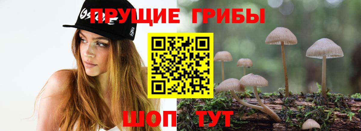 Галлюциногенные грибы GOLDEN TEACHER Гусиноозёрск